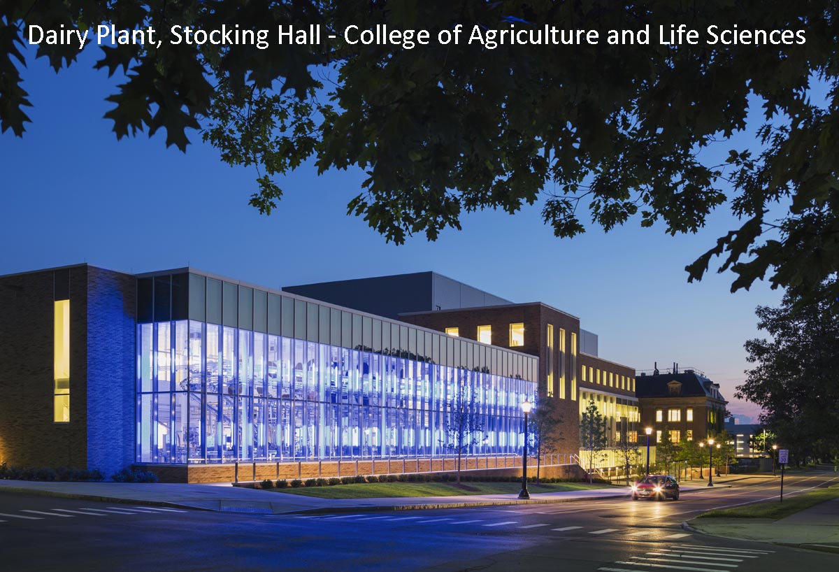 View of Stocking Hall at dusk